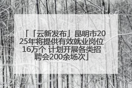 「云新发布」昆明市2025年将提供有效就业岗位16万个 计划开展各类招聘会200余场次
