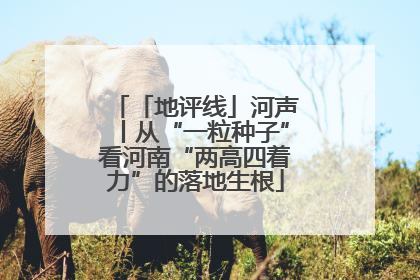 「地评线」河声丨从“一粒种子”看河南“两高四着力”的落地生根