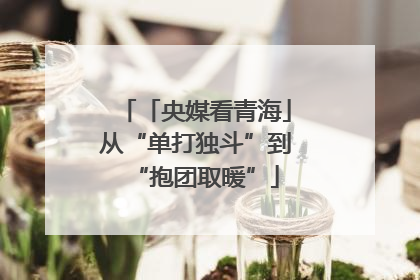 「央媒看青海」从“单打独斗”到“抱团取暖”