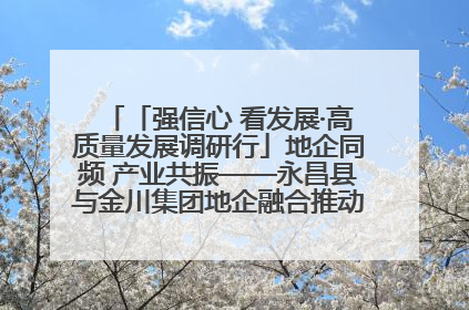 「强信心 看发展·高质量发展调研行」地企同频 产业共振——永昌县与金川集团地企融合推动重大项目建设