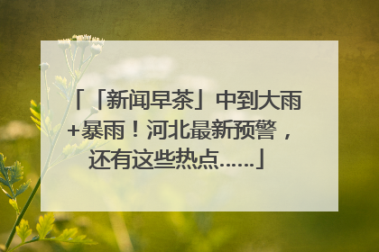 「新闻早茶」中到大雨+暴雨！河北最新预警，还有这些热点……