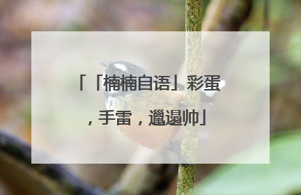 「楠楠自语」彩蛋，手雷，邋遢帅