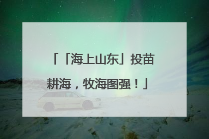 「海上山东」投苗耕海，牧海图强！