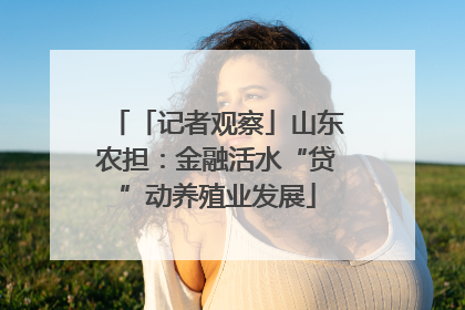 「记者观察」山东农担：金融活水“贷”动养殖业发展