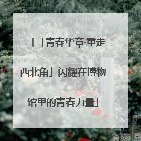 「青春华章·重走西北角」闪耀在博物馆里的青春力量