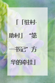 「驻村·助村」“第一书记”方华的牵挂