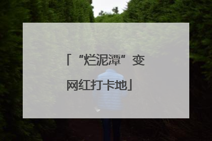 “烂泥潭”变网红打卡地