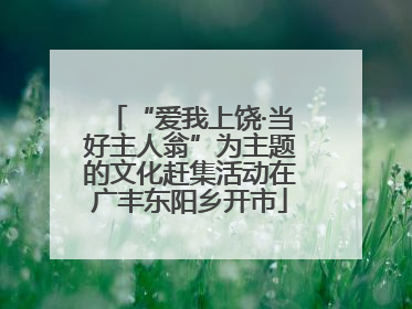 “爱我上饶·当好主人翁”为主题的文化赶集活动在广丰东阳乡开市