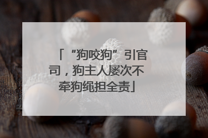“狗咬狗”引官司，狗主人屡次不牵狗绳担全责