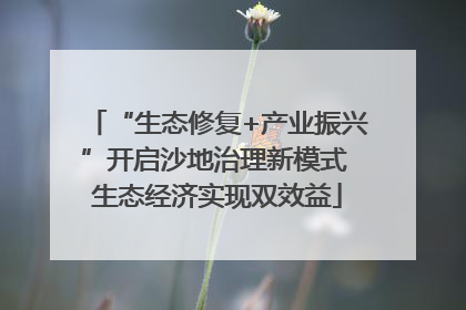 “生态修复+产业振兴”开启沙地治理新模式 生态经济实现双效益