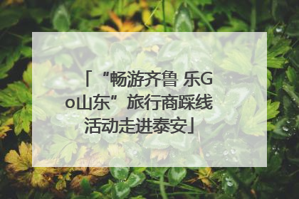 “畅游齐鲁 乐Go山东”旅行商踩线活动走进泰安