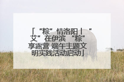 “粽”情洛阳丨“艾”在伊滨 “粽”享露营 端午主题文明实践活动启动