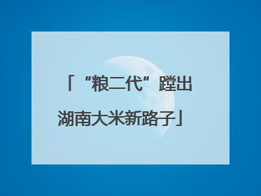 “粮二代”蹚出湖南大米新路子