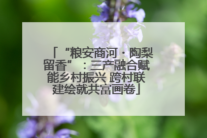 “粮安商河・陶梨留香”：三产融合赋能乡村振兴 跨村联建绘就共富画卷