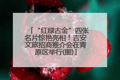 “红绿古金”四张名片惊艳亮相！吉安文旅招商推介会在青原区举行(图)