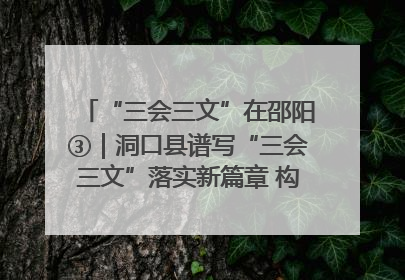 “三会三文”在邵阳③｜洞口县谱写“三会三文”落实新篇章 构建协同联动大格局