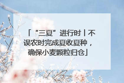 “三夏”进行时丨不误农时完成夏收夏种，确保小麦颗粒归仓
