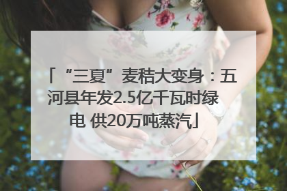 “三夏”麦秸大变身：五河县年发2.5亿千瓦时绿电 供20万吨蒸汽