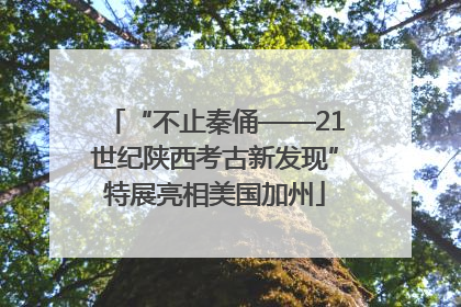 “不止秦俑——21世纪陕西考古新发现”特展亮相美国加州