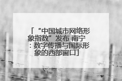 “中国城市网络形象指数”发布 南宁：数字传播与国际形象的西部窗口