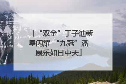 “双金”于子迪新星闪耀 “九冠”潘展乐如日中天