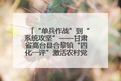 “单兵作战”到“系统攻坚”——甘肃省高台县合黎镇“四化一评”激活农村党员管理新引擎
