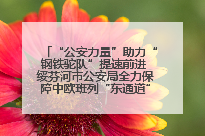 “公安力量”助力“钢铁驼队”提速前进 绥芬河市公安局全力保障中欧班列“东通道”绥芬河隧道贯通