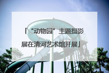 “动物园”主题摄影展在清河艺术馆开展