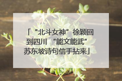 “北斗女神”徐颖回到四川 “能文能武”苏东坡诗句信手拈来