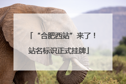 “合肥西站”来了！站名标识正式挂牌
