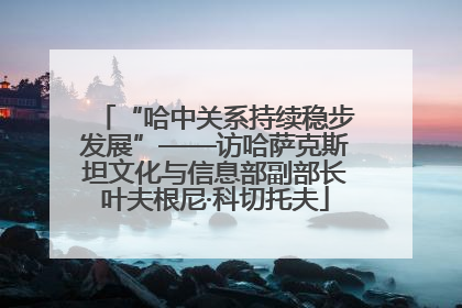 “哈中关系持续稳步发展”——访哈萨克斯坦文化与信息部副部长叶夫根尼·科切托夫