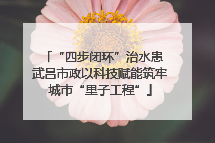 “四步闭环”治水患 武昌市政以科技赋能筑牢城市“里子工程”