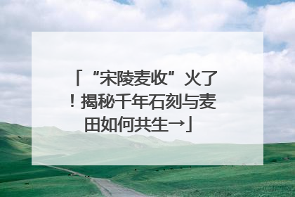 “宋陵麦收”火了！揭秘千年石刻与麦田如何共生→