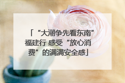 “大潮争先看东南”福建行 感受“放心消费”的满满安全感
