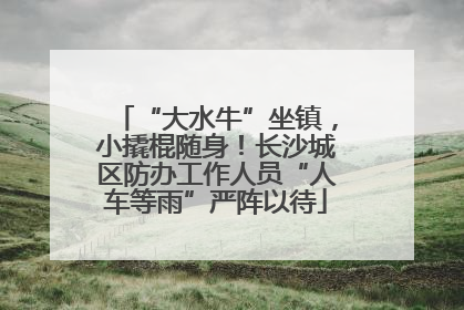 “大水牛”坐镇，小撬棍随身！长沙城区防办工作人员“人车等雨”严阵以待