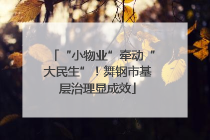 “小物业”牵动“大民生”！舞钢市基层治理显成效