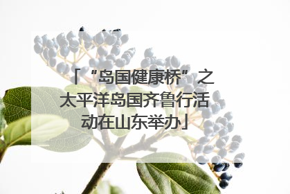 “岛国健康桥”之太平洋岛国齐鲁行活动在山东举办