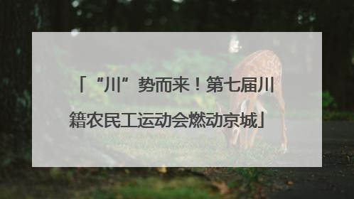 “川”势而来！第七届川籍农民工运动会燃动京城