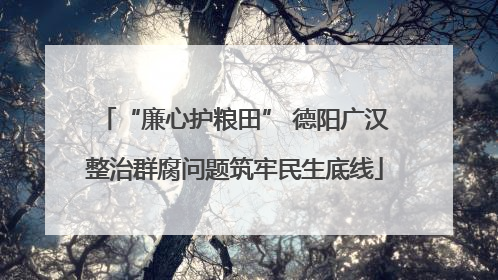 “廉心护粮田” 德阳广汉整治群腐问题筑牢民生底线