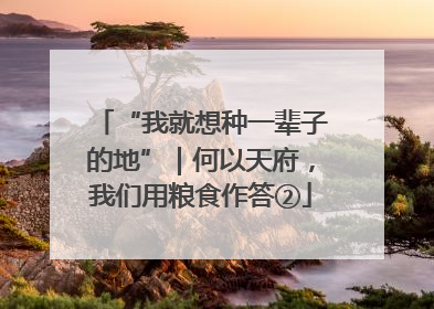 “我就想种一辈子的地”｜何以天府，我们用粮食作答②