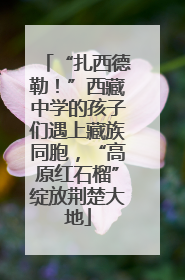 “扎西德勒！”西藏中学的孩子们遇上藏族同胞，“高原红石榴”绽放荆楚大地
