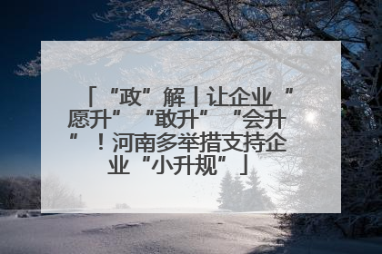 “政”解丨让企业“愿升”“敢升”“会升”！河南多举措支持企业“小升规”