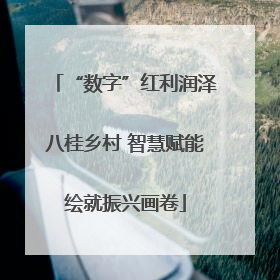 “数字”红利润泽八桂乡村 智慧赋能绘就振兴画卷