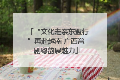 “文化走亲东盟行”再赴越南 广西邕剧粤韵展魅力