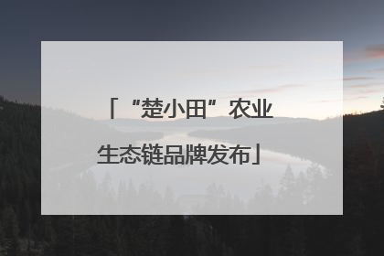 “楚小田”农业生态链品牌发布