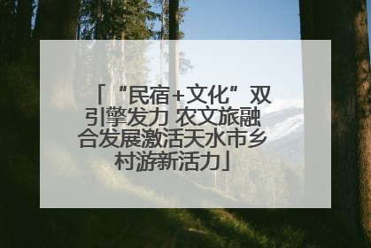 “民宿+文化”双引擎发力 农文旅融合发展激活天水市乡村游新活力