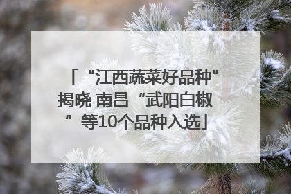 “江西蔬菜好品种”揭晓 南昌“武阳白椒”等10个品种入选