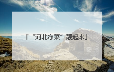 “河北净菜”靓起来