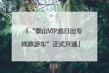 “泰山VIP观日出专线旅游车”正式开通