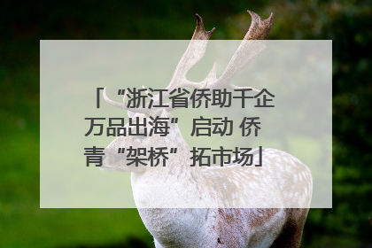 “浙江省侨助千企万品出海”启动 侨青“架桥”拓市场
